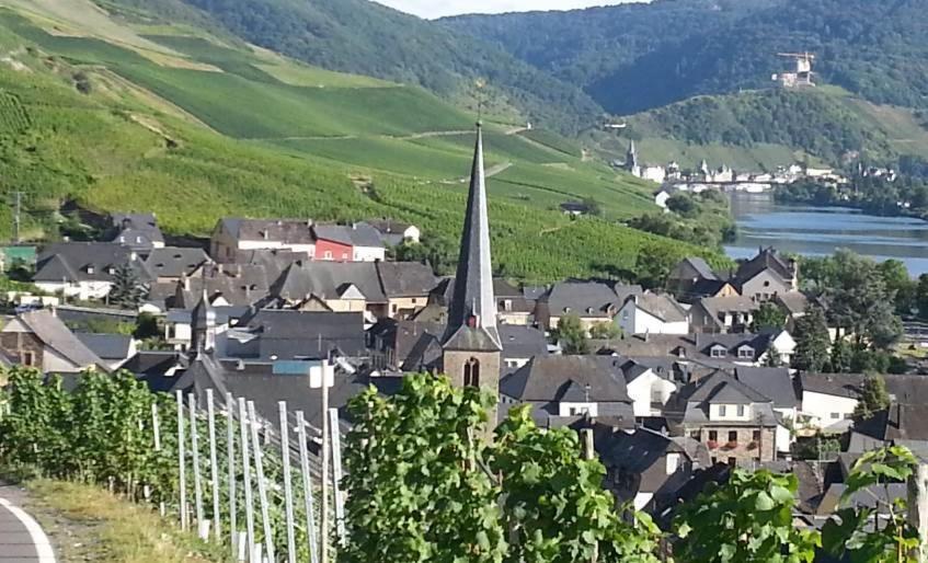 Weinhaus Hotel Zum Josefshof Graach Экстерьер фото